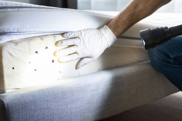 Best Wildlife Control Services  in Glyndon, MN